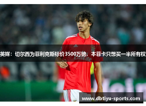 英媒：切尔西为菲利克斯标价3500万镑，本菲卡只想买一半所有权